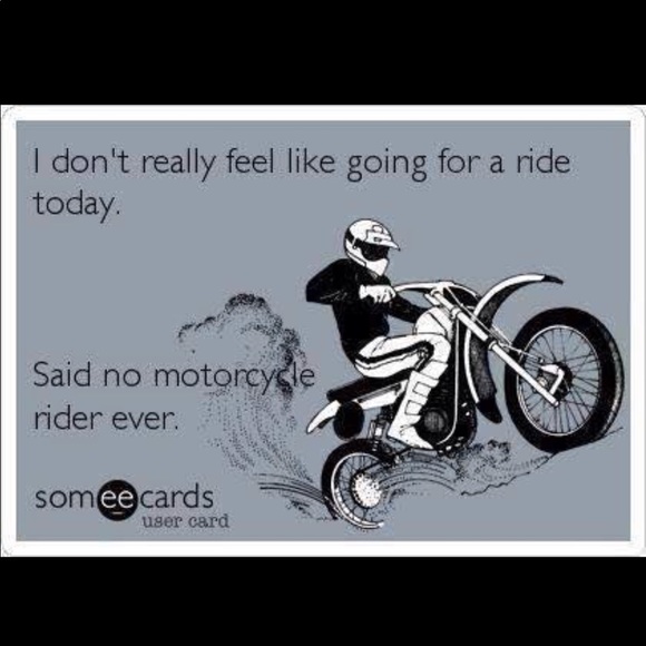 Meet your Posher, Patrick - Picture 1 of 1